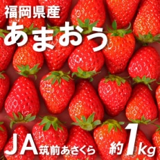 福岡県産「あまおう」250g×4パック