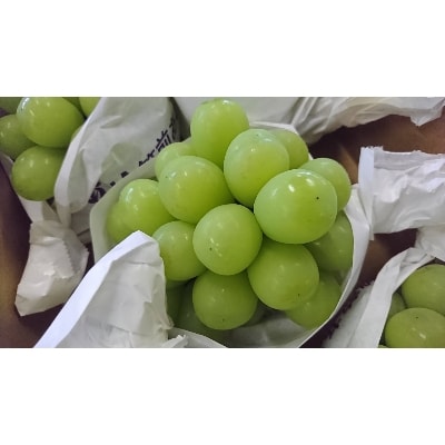 シャインマスカット(2kg)<筑前あさくら農協>