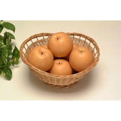梨「新高」約5kg＜筑前あさくら農協＞