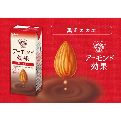アーモンド効果 薫るカカオ　200ml×12本×2箱