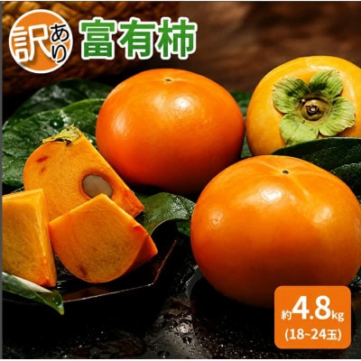 【訳あり】富有柿 約4.8kg(18～24玉)【2026年11月下旬より発送予定】