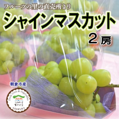 フルーツの里の直売所より　シャインマスカット2房(9月中旬発送)