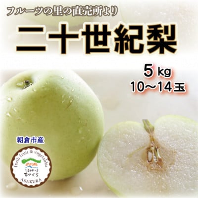 フルーツの里の直売所より　二十世紀梨10～14玉(8月下旬発送)