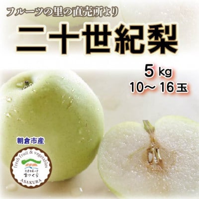 フルーツの里の直売所より　二十世紀梨10～16玉(8月下旬発送)