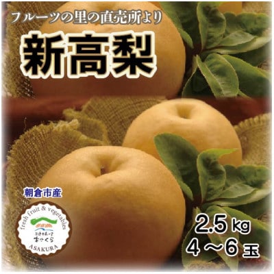 フルーツの里の直売所より　新高梨4～6玉(10月中旬発送)