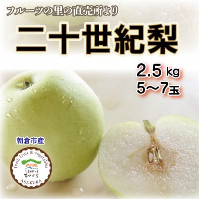 フルーツの里の直売所より　二十世紀梨5～7玉(8月下旬発送)