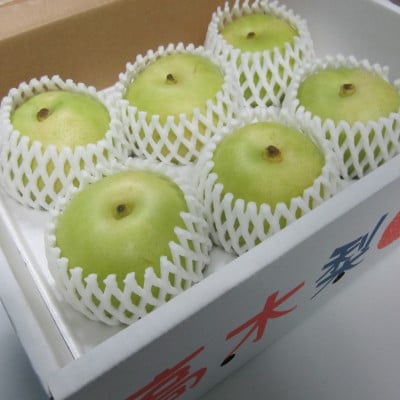 フルーツの里の直売所より　二十世紀梨5～7玉(8月下旬発送)