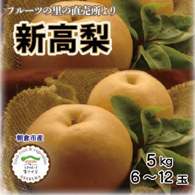 フルーツの里の直売所より　新高梨6～12玉(10月中旬発送)