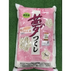 【令和6年産米】(令和6年10月以降発送)朝倉市産 夢つくし5kg