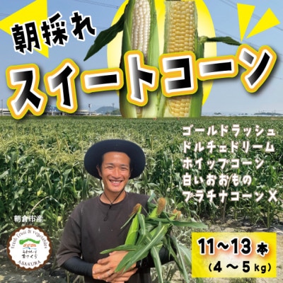 朝採れ!スイートコーン　(ゴールドラッシュ、ホワイトコーン)　11～13本　4～5kg