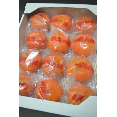 フルーツの里の直売所より　冷蔵富有柿10～16玉(12月下旬より順次発送)