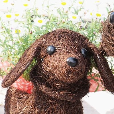 チビわんこのフラワーバスケット(1匹)