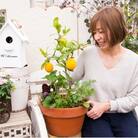 レモンとハーブ　香りの寄せ植え