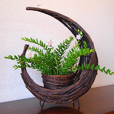 サクラランのムーンバスケット