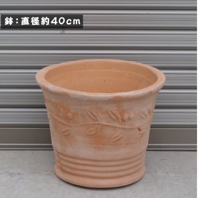 テラコッタ鉢&培養土セット