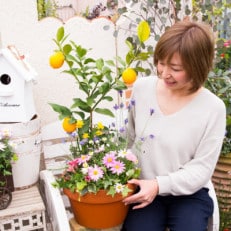 【母の日ギフト】レモンと季節のお花寄せ植え