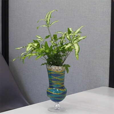 観葉植物のカラーサンド(中サイズ)(ブルー系)