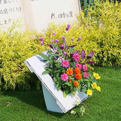 メーカー直送 ふるさと納税 朝倉市 季節のお花寄せ植え 白鳥型鉢 さとふる 通販 Yahoo ショッピング 別注商品 Clinicaaldente Es