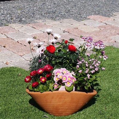 可愛いピンクのお花たっぷりの寄せ植え(舟形Mサイズ)×1鉢