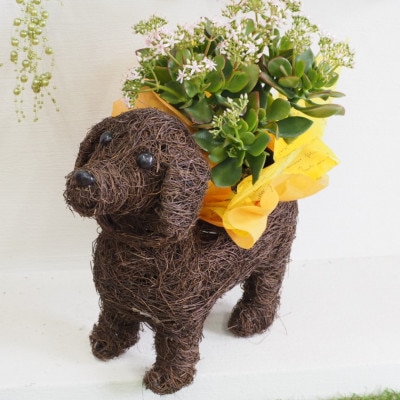 犬型バスケット