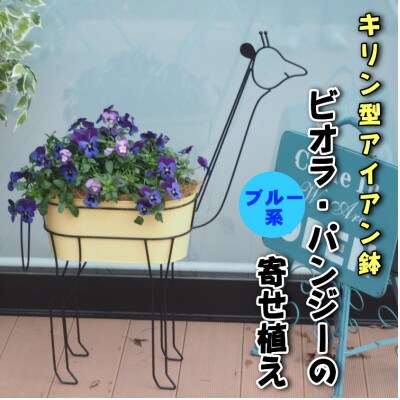 キリン型のアイアン鉢　ビオラ・パンジーの寄せ植え