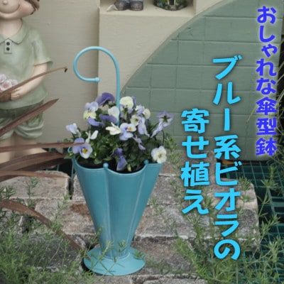 傘型アイアン鉢・ビオラの寄せ植え(ブルー系)