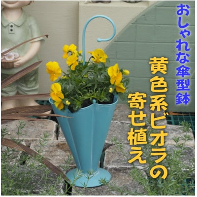 傘型アイアン鉢・ビオラの寄せ植え(黄色系)