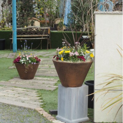 ビッグサイズ　季節のお花寄せ植え　直径50cmの鉢に季節のお花を植え込みました。