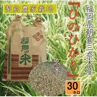朝倉市三奈木産　令和7年産　『ひのひかり』玄米30キロ(1袋)