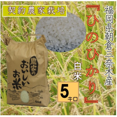 朝倉市三奈木産　令和7年産　『ひのひかり』白米5キロ(1袋)