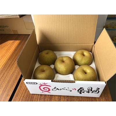 幸水梨(5～7玉入り)