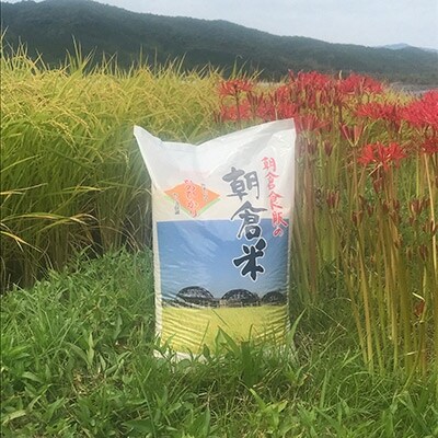 朝倉米 白米 10kg | 福岡県朝倉市 | ふるさと納税サイト「さとふる」