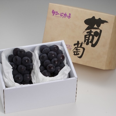 【特別栽培福岡県朝倉市産】　化粧箱　ピオーネ(2房)