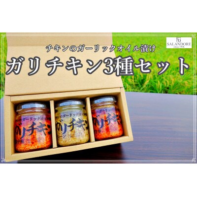 ガリチキン　全種類セット 110g×3本