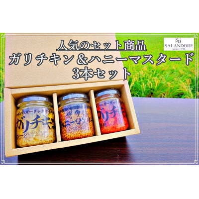 ガリチキン&博多流ハニーマスタード3本セット