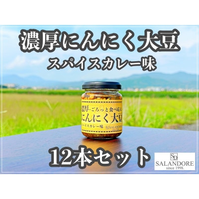 濃厚にんにく大豆_スパイスカレー味_12本セット