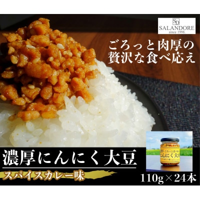 濃厚にんにく大豆_スパイスカレー味_24本セット