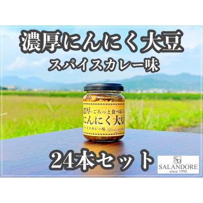 濃厚にんにく大豆_スパイスカレー味_24本セット