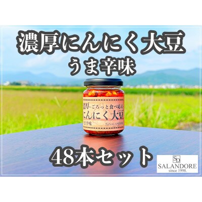 濃厚にんにく大豆_うま辛味_48本セット