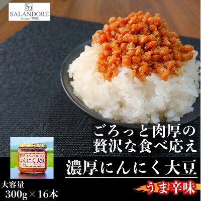濃厚にんにく大豆_うま辛味_300g×16本セット