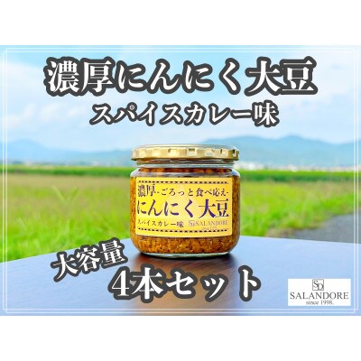 濃厚にんにく大豆_スパイスカレー味_300g×4本セット