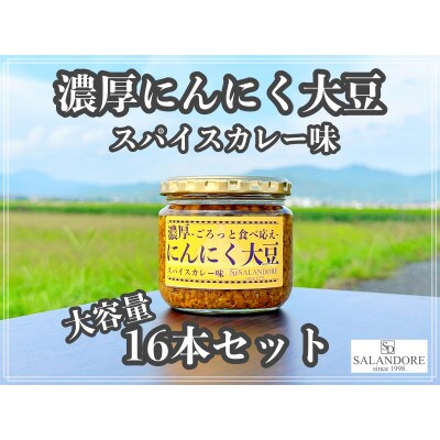 濃厚にんにく大豆_スパイスカレー味_300g×16本セット