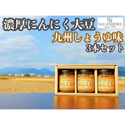濃厚にんにく大豆_九州しょうゆ味_3本セット