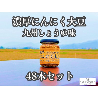 濃厚にんにく大豆_九州しょうゆ味_48本セット
