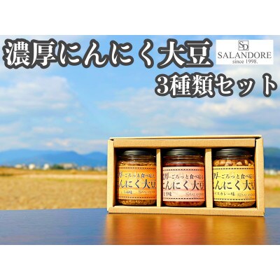 濃厚にんにく大豆_3種類セット
