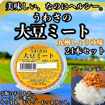 うわさの大豆ミート 九州しょうゆ味 24本セット