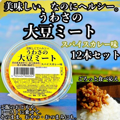 うわさの大豆ミート スパイスカレー味 12本セット