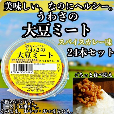 うわさの大豆ミート スパイスカレー味 24本セット