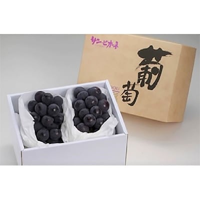 化粧箱入　ピオーネ　2房