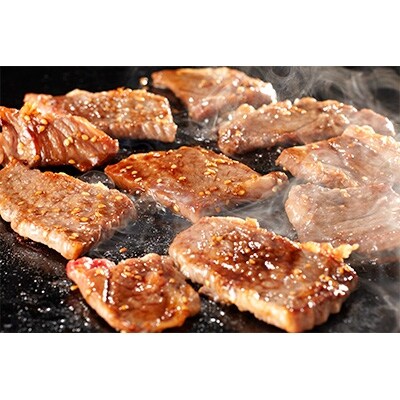 九州ファーム朝倉牛 肩ロース焼肉用 600g お礼品詳細 ふるさと納税なら さとふる